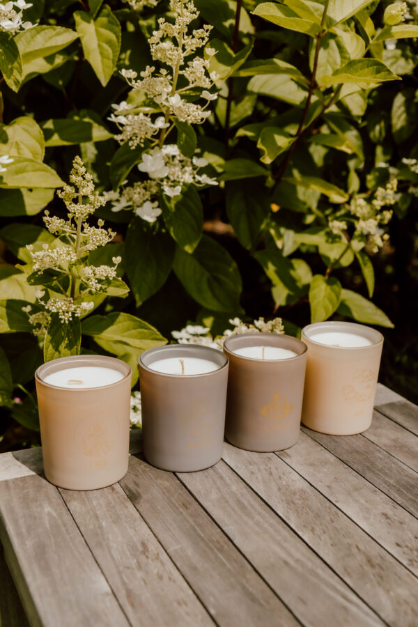 Coffret Traditionals Set * Bougies élémentaires – Image 7